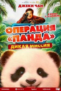  Операция «Панда». Дикая миссия 